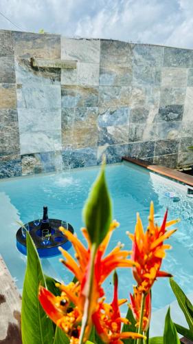 a close up of a flower next to a swimming pool at Géko, piscine, jardin, paisible in Sainte-Luce