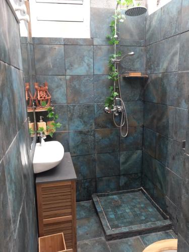 a bathroom with a shower and a sink at Aloes Lagoon Lodge in Saint-Paul