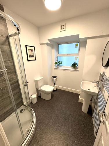 a bathroom with a shower and a toilet and a sink at First Avenue Apartments Stylish 2 & 3 Bed Flats in Central Hove in Brighton & Hove