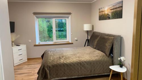 a bedroom with a bed and a window at Pie dzintara jūras in Apšuciems