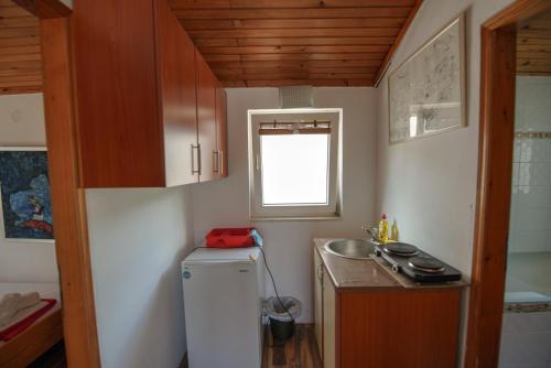 Cuisine ou kitchenette dans l'établissement LaRos Apt