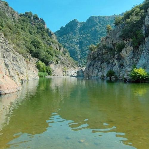 a river in a canyon with mountains in the background at S'Antiga Inn, centro storico ed escursionismo in Sardegna in Seùlo