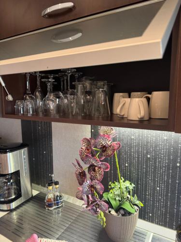 a kitchen counter with a plant in a pot on a shelf at V I P apartaments in Bucharest