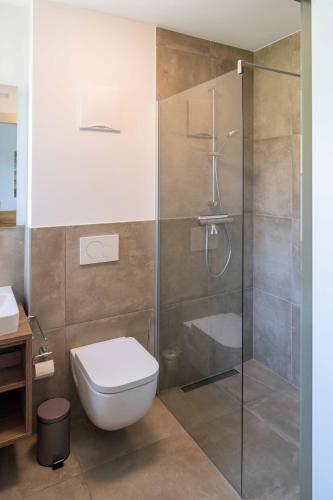 a bathroom with a toilet and a glass shower at Triebenstein Hideaway in Hohentauern