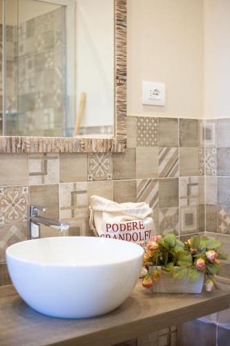 Koupelna v ubytování Podere Grandolfi B&B