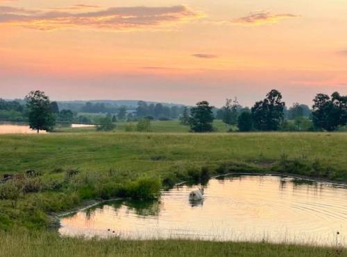 Φυσικό τοπίο κοντά σε αυτή η παραθεριστική κατοικία