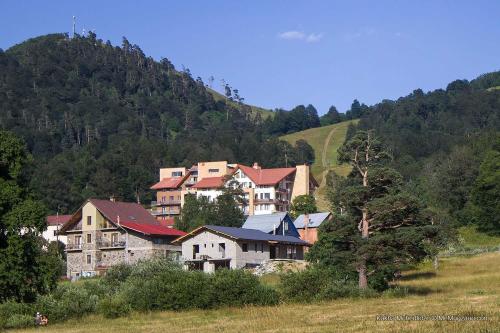 a group of houses on the side of a hill at Cristal Loft C block 203 room in Bakuriani