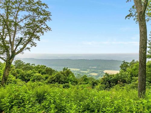 a view from the top of a hill with trees at Cragsmere Manor - Luxury Estate & Event Space in Mentone