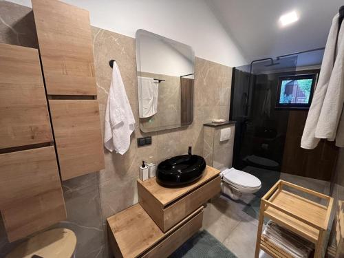 a bathroom with a sink and a toilet and a mirror at Luxury Apartman Anđela in Banjol