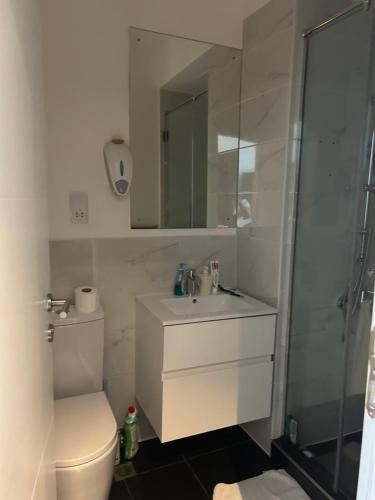 a bathroom with a toilet and a sink and a shower at APARTMENTS GH - Accra - Cantonments - Embassy Gardens in Accra