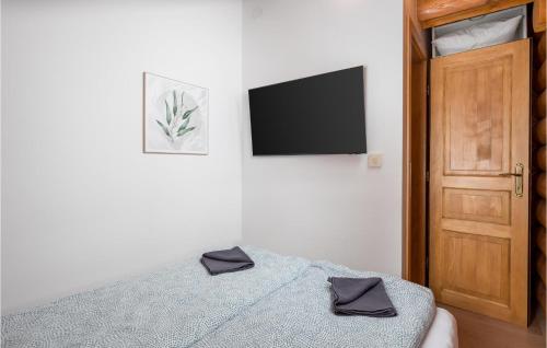 a bedroom with a bed and a flat screen tv at Amazing Home In Petrinja With Wi-Fi in Petrinja