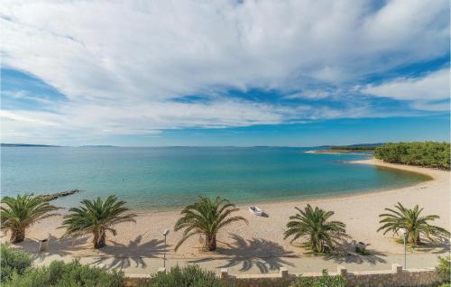 a beach with palm trees and the ocean at Lovely Apartment In Povljana With Wifi in Povljana
