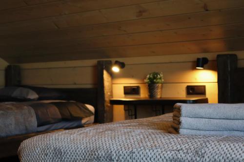 a bedroom with two beds and a table with a plant at Vertikāles Austrumi in Cenkone