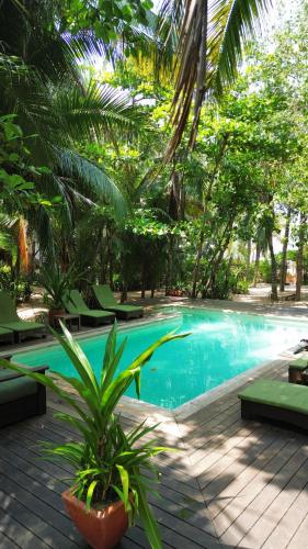 兹波利特Hotel Descalzo SPA的度假村里的游泳池，有绿色的椅子和树木
