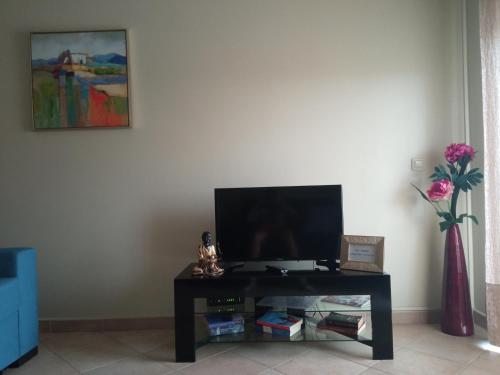un soggiorno con TV e vaso con fiori di Apartamento Xelb a Silves