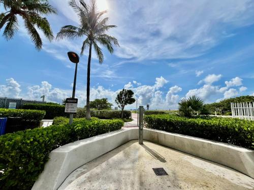 a street with a palm tree and a sidewalk at Secret Garden Miami Beach in Miami Beach