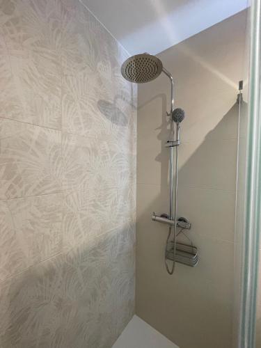 a shower with a shower head in a bathroom at As Tres Praias in Burela de Cabo