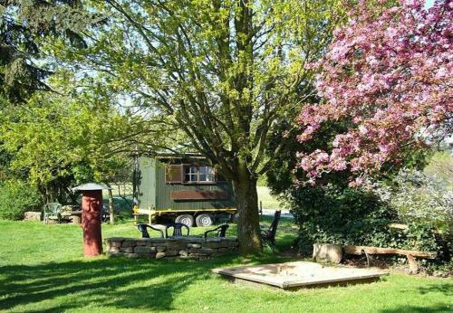 a fire hydrant next to a tree and a truck at Gasthaus-Pension Zum Brandweiher in Amorbach