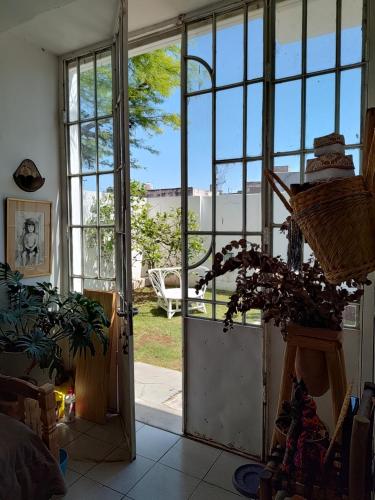 Taman di luar Casa Ecléctica