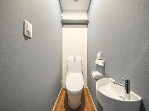 a bathroom with a toilet and a sink at ちょこっとヴィラMaestro in Tusi