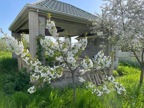 Φωτογραφία από το άλμπουμ του Inevka guest house σε Mekhrably