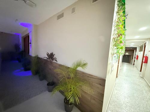 a hallway with potted plants in a building at Hotel Casa-Noria Acapulco in Acapulco