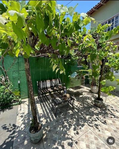 a dog laying on a bench next to two trees at Casa Clorophila, suíte master completa com banheira, para 3 hóspedes in Vila Velha