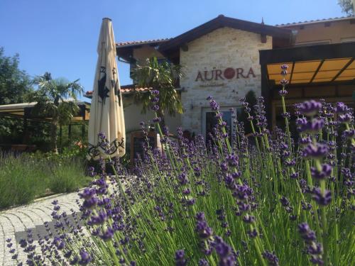A garden outside Aurora Panzió