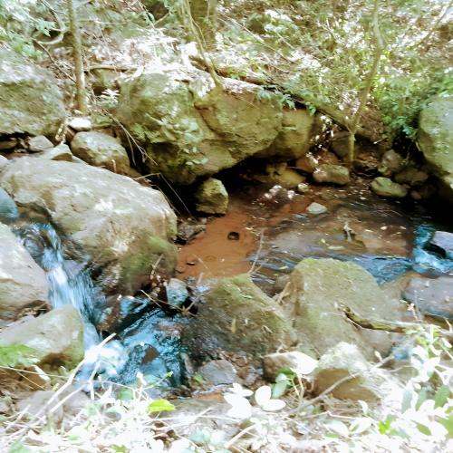 a stream of water with rocks in a forest at Los Lapachos. La naturaleza es acá 