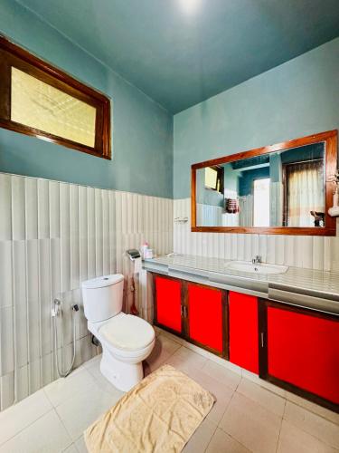 a bathroom with a toilet and a sink and a mirror at New Farmers Paradise in Ella