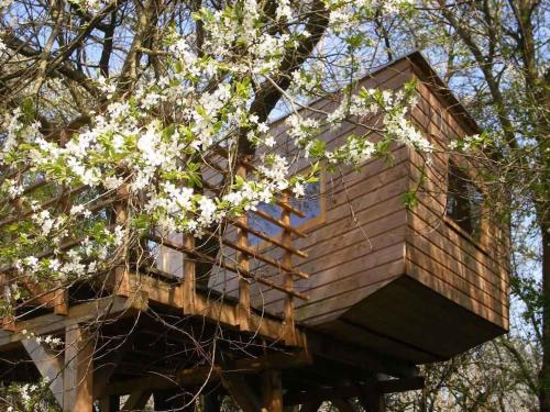 a tree house with white flowers in the trees at Apartment Rambin 2 in Rambin
