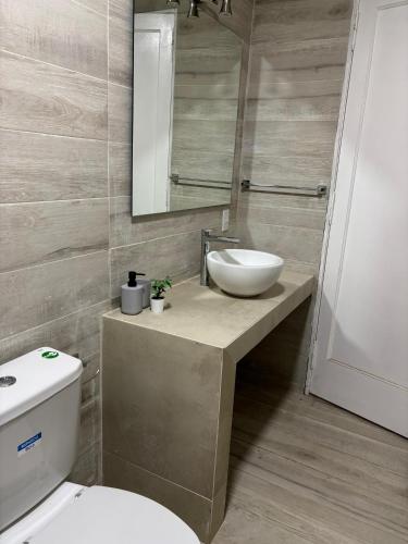 a bathroom with a sink and a toilet at Depto 2 dormitorios a 5 min Parque San Martin in Mendoza