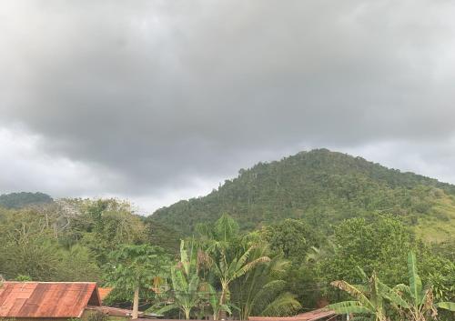 a mountain in the distance with houses and trees at Casa Ocho in Jacó