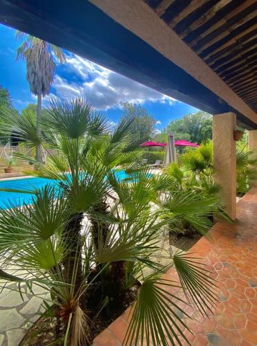 un gruppo di palme davanti a una piscina di Private villa with pool a Roquefort-les-Pins