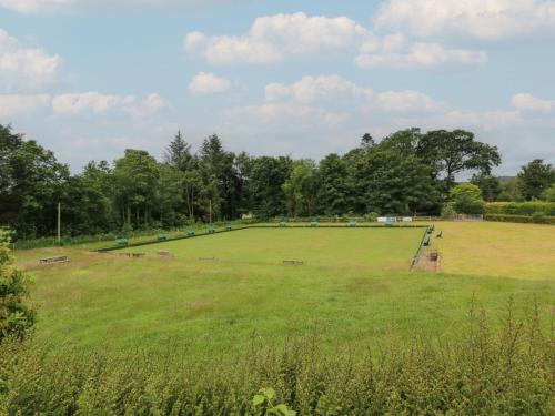 a large grass field with trees in the background at 79 Laurel Bank in Gatehouse of Fleet