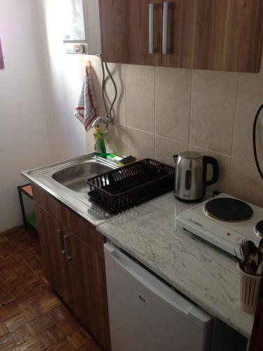Apartments Aleksicにあるキッチンまたは簡易キッチン