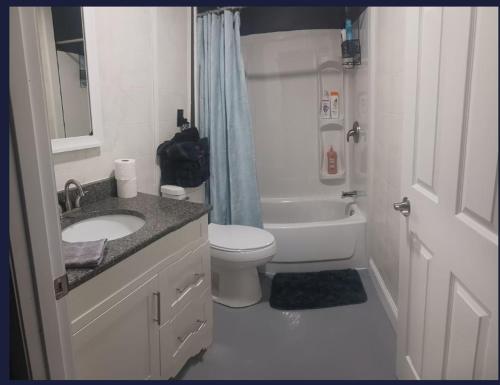 a bathroom with a sink and a toilet and a shower at The Reel Freedom Cottage at Leesville Lake in Carrollton