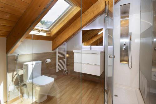 a bathroom with a toilet and a glass shower at Refugio del Roble by BeValle in Panticosa