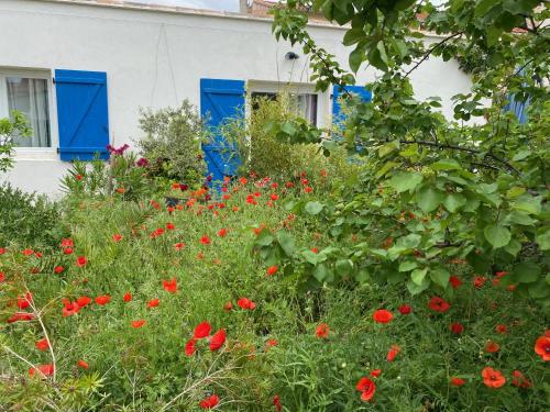 Maisonnette de Jardin photo 31