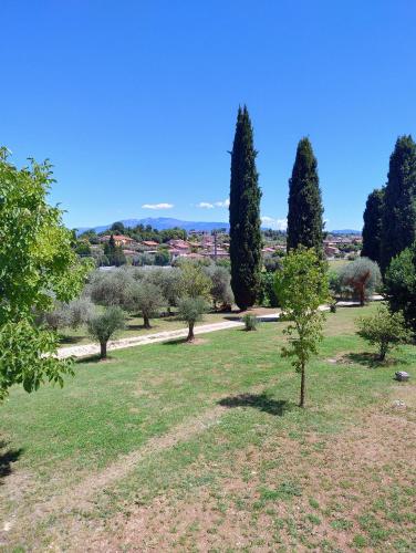 a park with trees and grass and a pathway at Cascina Monte Tivino in Salò
