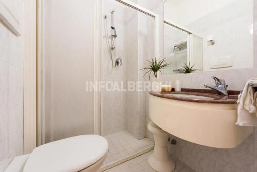 a bathroom with a sink and a toilet and a shower at Hotel Marco Polo in Bellaria-Igea Marina