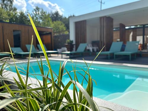 a swimming pool with chairs and a house at Leśna Polana Domki in Okuninka