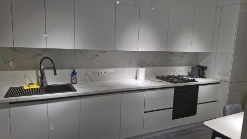 Una cocina o cocineta en Odyssey