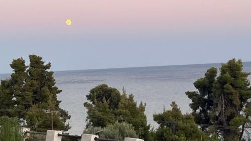 Gallery image of kaloutsikos sea view house in Mola Kalyva