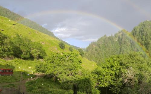 a green hillside with a rainbow in the distance at Elos Guesthouse in Iprari
