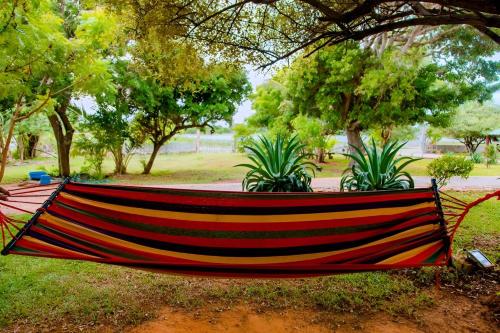a hammock in a park with trees in the background at Bundala Bird View in Hambantota