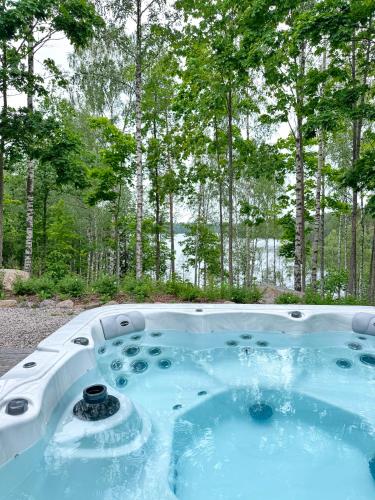 Bazén v ubytování Luxury Villa in Southern Finland nebo v jeho okolí