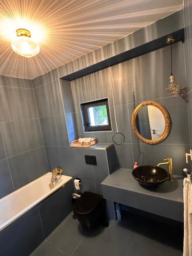 a bathroom with a sink and a tub and a mirror at Dock Cottage House in Bădeni