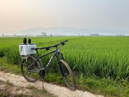 Tantawan Tented Campの敷地内または近くで楽しめるサイクリング