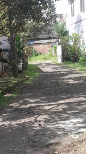 a dirt road with a tree and a building at 361 Alam in Rarang